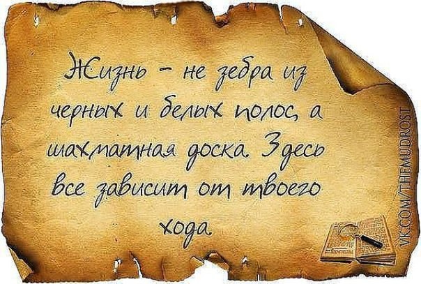 Стих жизненный опыт Стих жизненный опыт