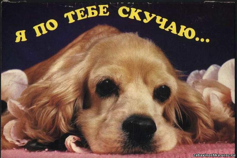 Стих привет скучаешь Стих привет скучаешь