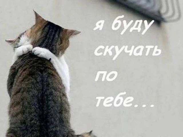 Буду скучать картинки прикольные подруга уехала в отпуск, тебя схожу ума