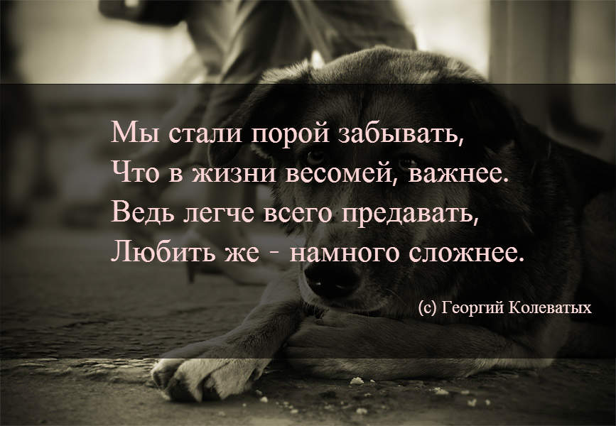 Картинки с надписью о том что предали, соскучилась