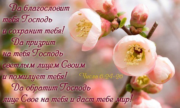 тебе спасибо картинки онлайн тебе спасибо картинки