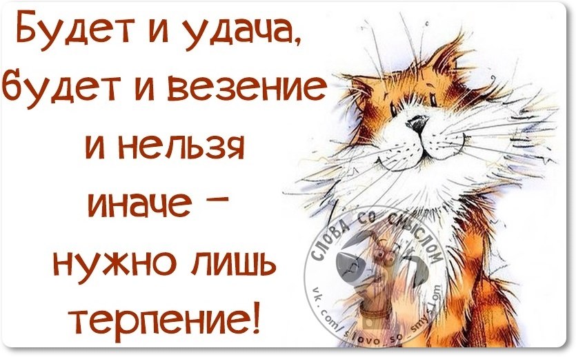 Картинки с пожеланиями терпения и выдержки прикольные, картинку днем