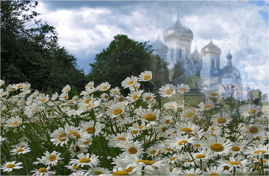 Открытка родина россия, прозрачном фоне