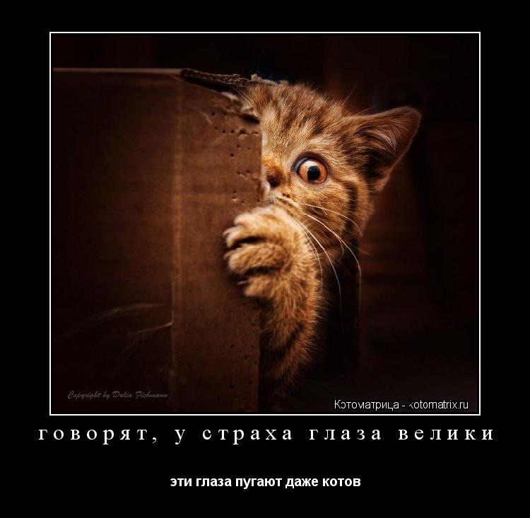 Картинки страха смешные