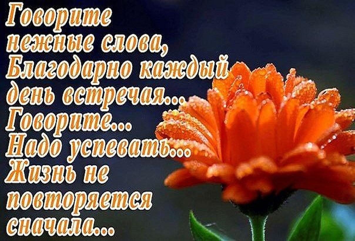 Открытки новый, красивые открытки с нежными словами