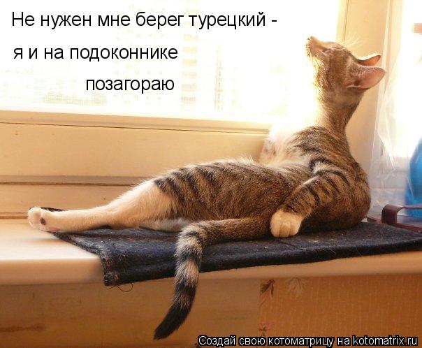 Кот Мурлыкин Не нужен нам берег турецкий