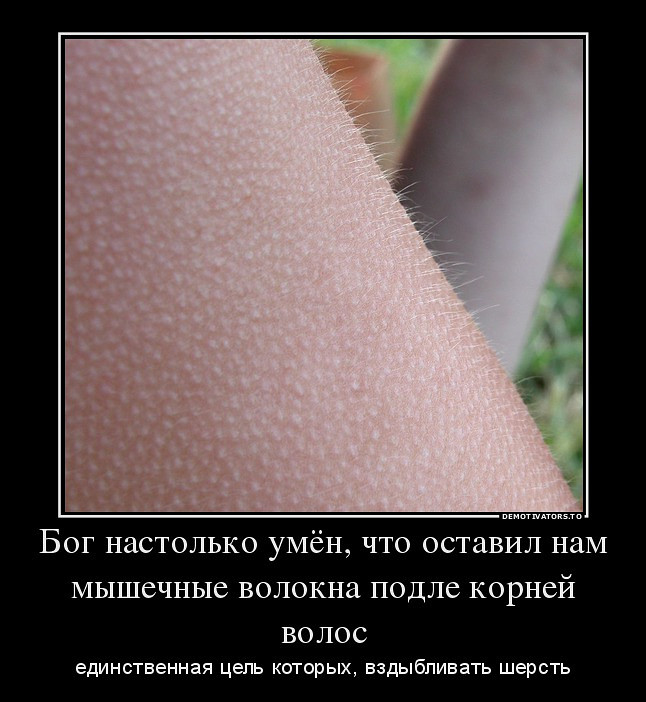 Картинки мурашки по коже прикольные, годовщиной