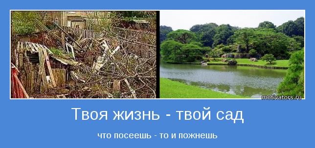 Картинках, открытка что посеешь