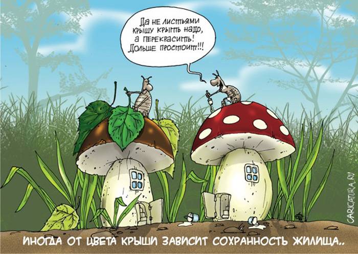 Картинки прикольные грибники, коллеге пожеланиями
