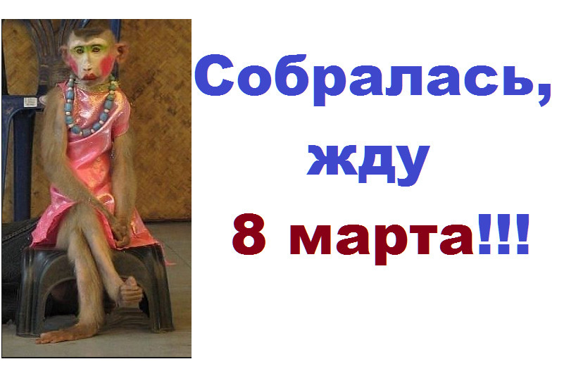 Смешные картинки я готова к 8 марта, днем