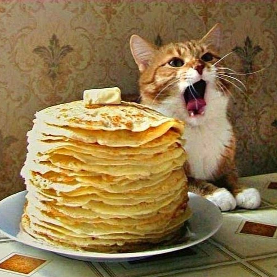 Картинки коту масленица