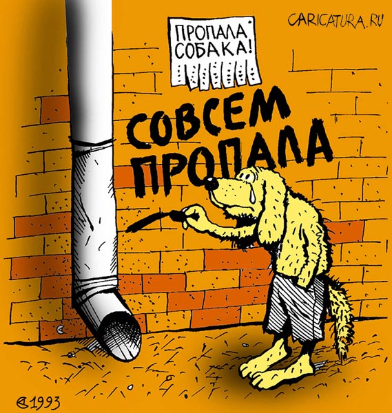 Куда пропал картинки прикольные