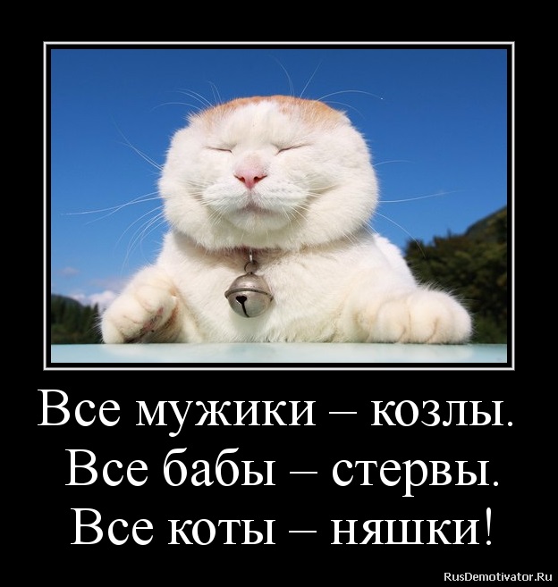 Картинки, картинки для козлов мужчин