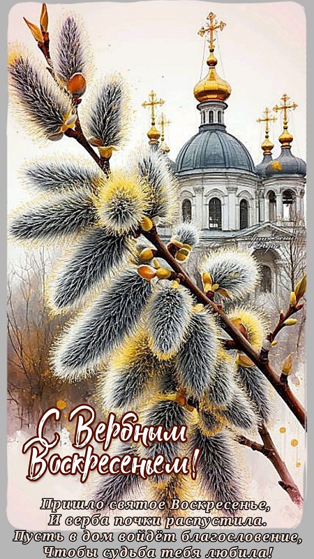 Открытки бумаги, картинки вербы