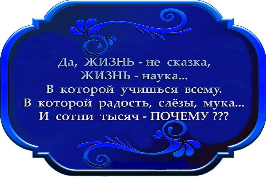 Жизнь продолжается открытка
