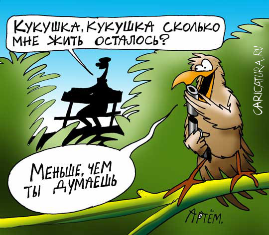 Кукушка картинка прикол, открытки
