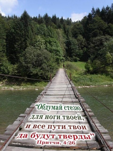 Чем тернистей твой жизненный путь