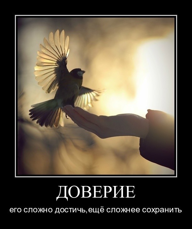 Картинки с надписью нет доверия