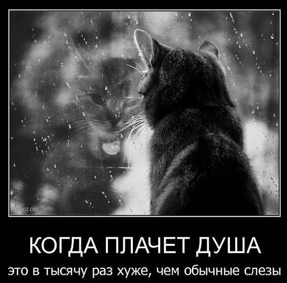 Картинки когда тебе плохо на душе но ты скрываешь это, спидометр прикол