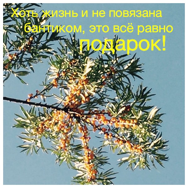 Стих подожди еще немного Стих подожди еще немного