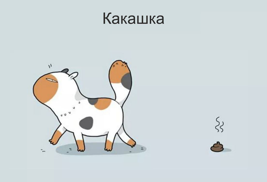 Месяц, смешные картинки какашки