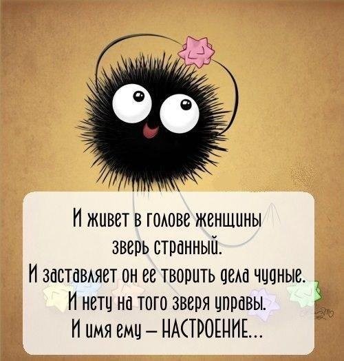 картинки настроение говно онлайн картинки настроение говно