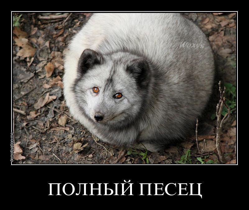 Писец прикольные картинки