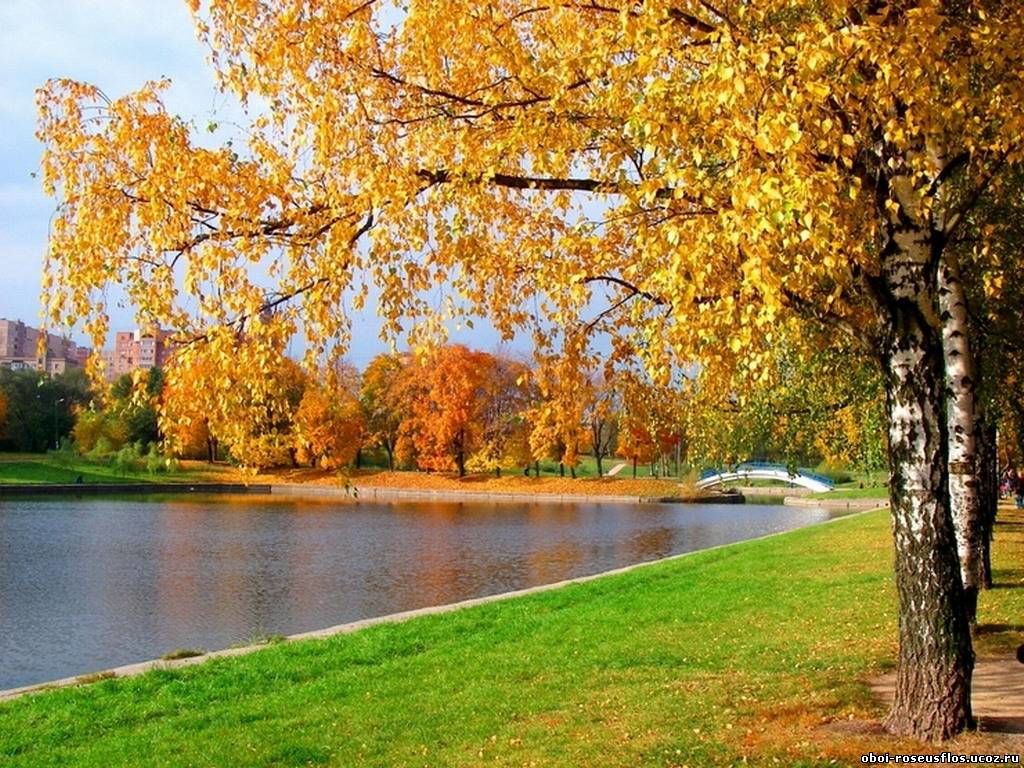 Картинки ранняя осень сентябрь