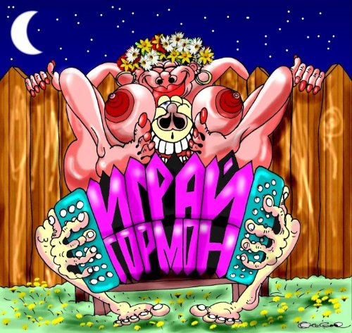 Гормоны веселые картинки