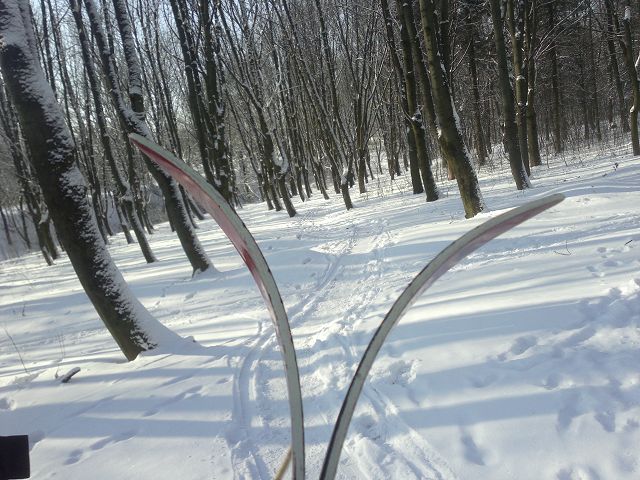 На БИС!.. И Старый Новый... в Сказке Зимней...
