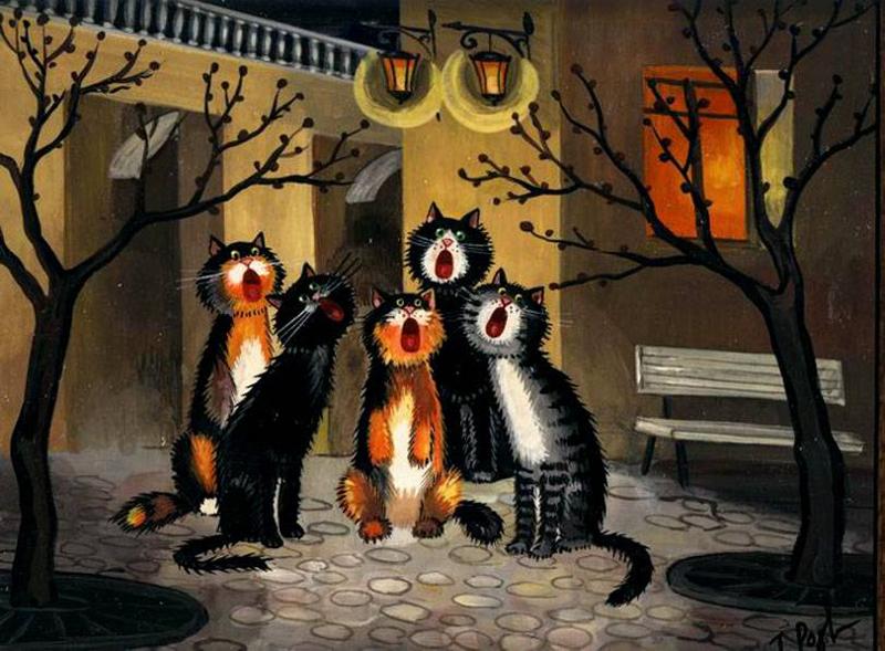 Кошки в нашей жизни. Кошки и все, что с ними связано.