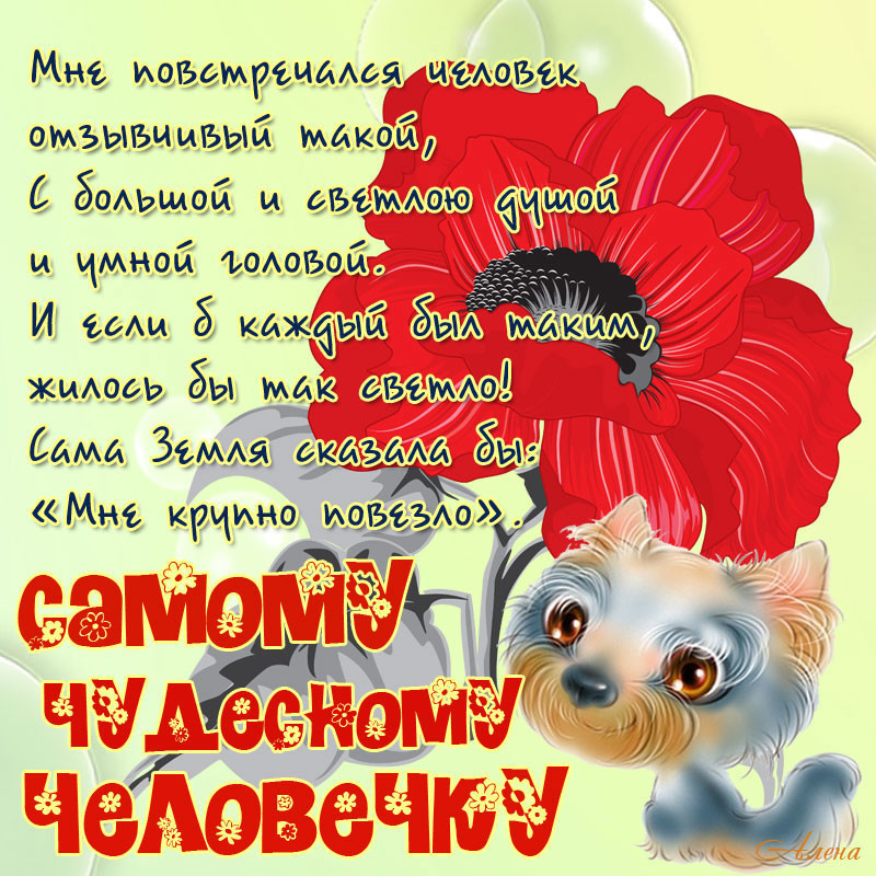 Красивые стихи для друзей просто так, день рождения татарском