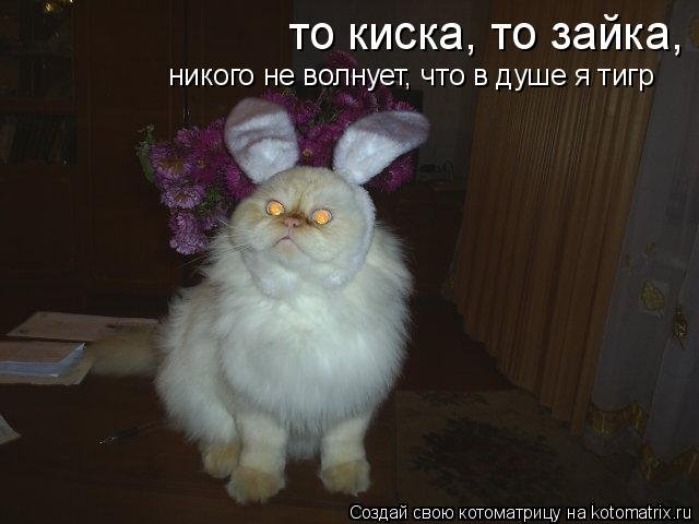 Объемных, картинки я с тобой не дружу