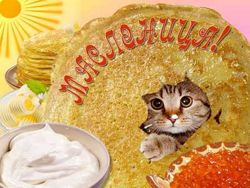 Не все коту масленица открытка