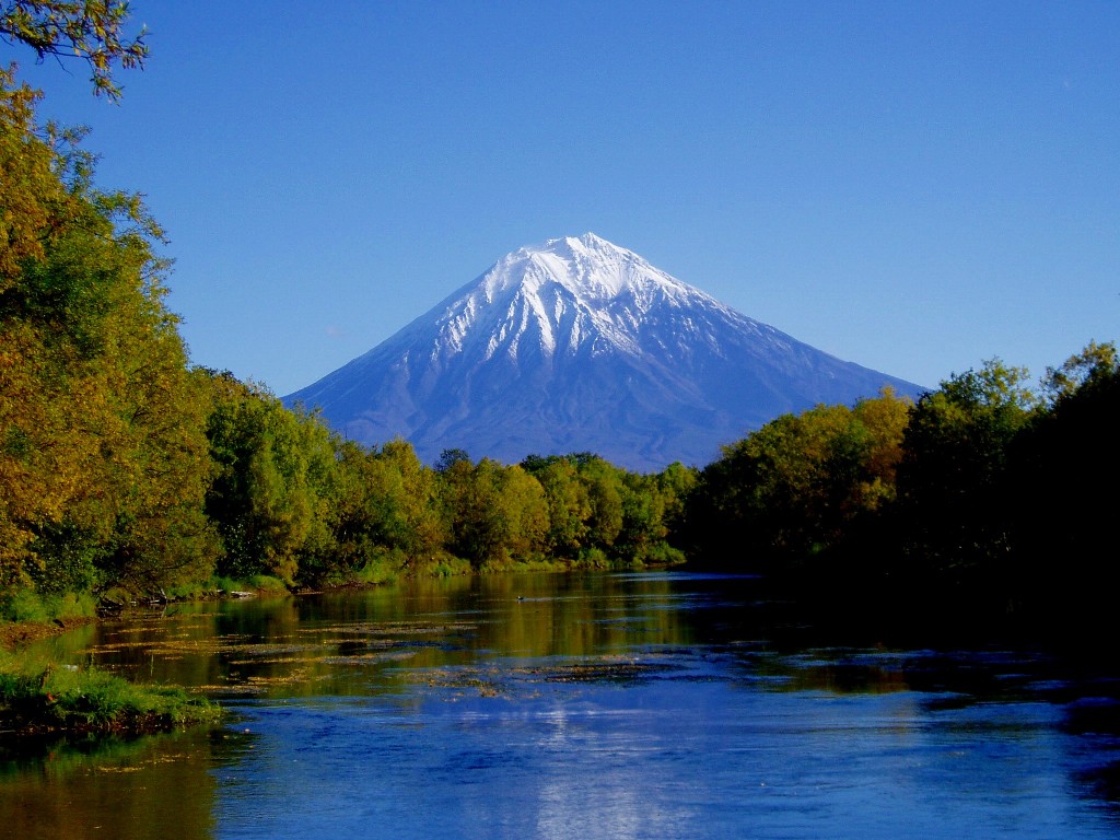 Нежный привет, камчатка картинки фото