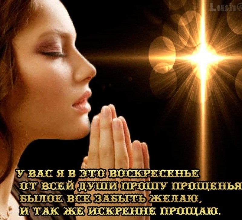 Фрязино открытки, открытки попросить прощение
