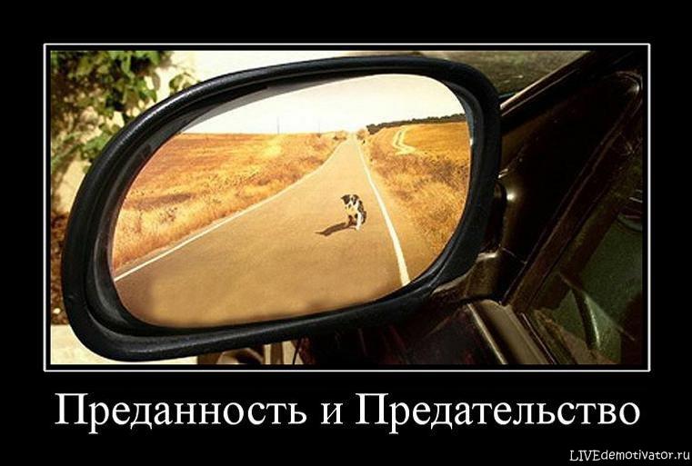 Картинки о предательстве смешные