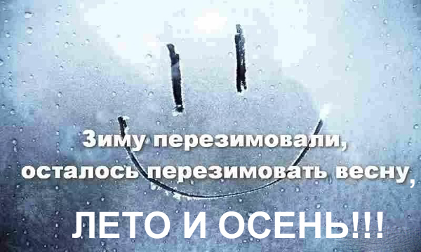 Рождения, картинки прикольные про холодную весну