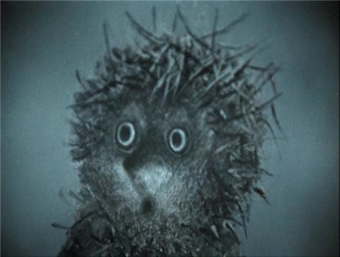 Картинки по запросу ежик плачет