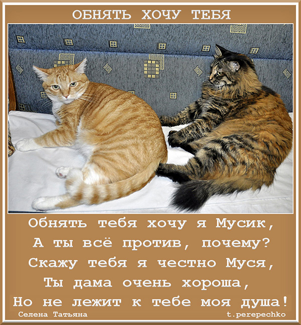 Хочу обнять тебя картинки со стихами