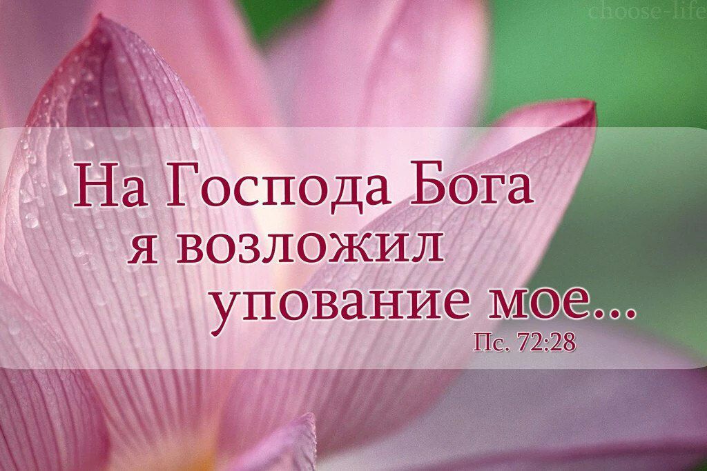Христианские открытки про радость, плейкастами