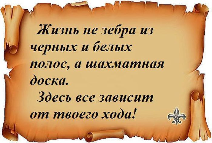 Крылатые выражения для открытки