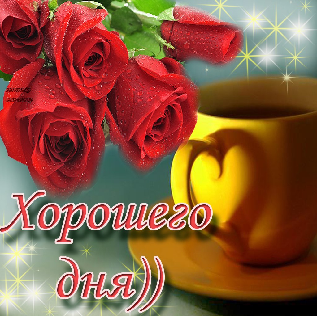 Картинки доброго дня дорогой