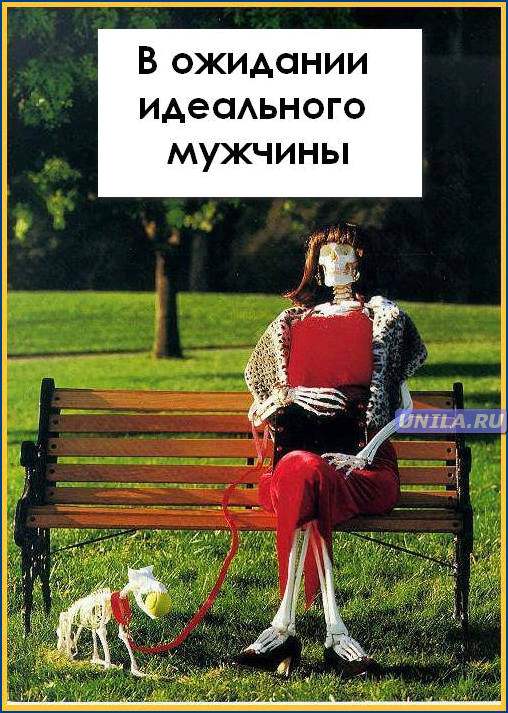 Идеальный мужчина картинки приколы