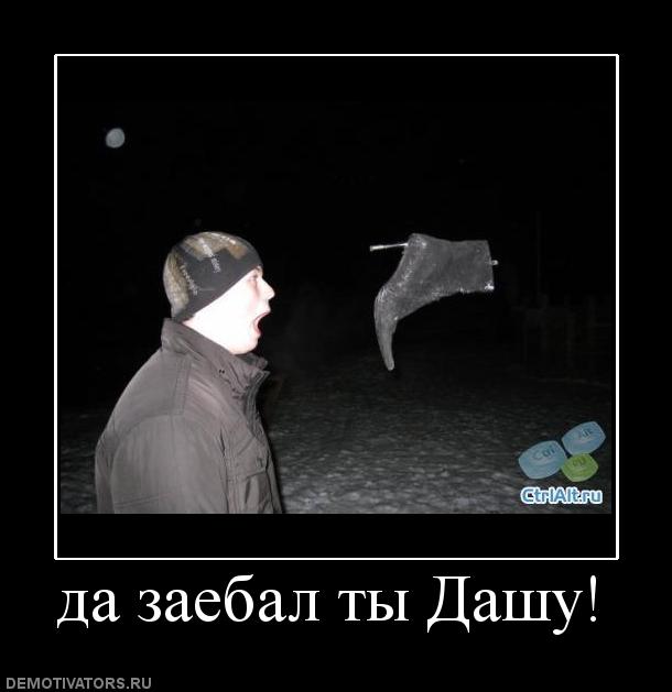 Картинки приколы про дашу, смешной
