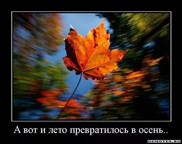 Мемы приколы, открытки лето прошло
