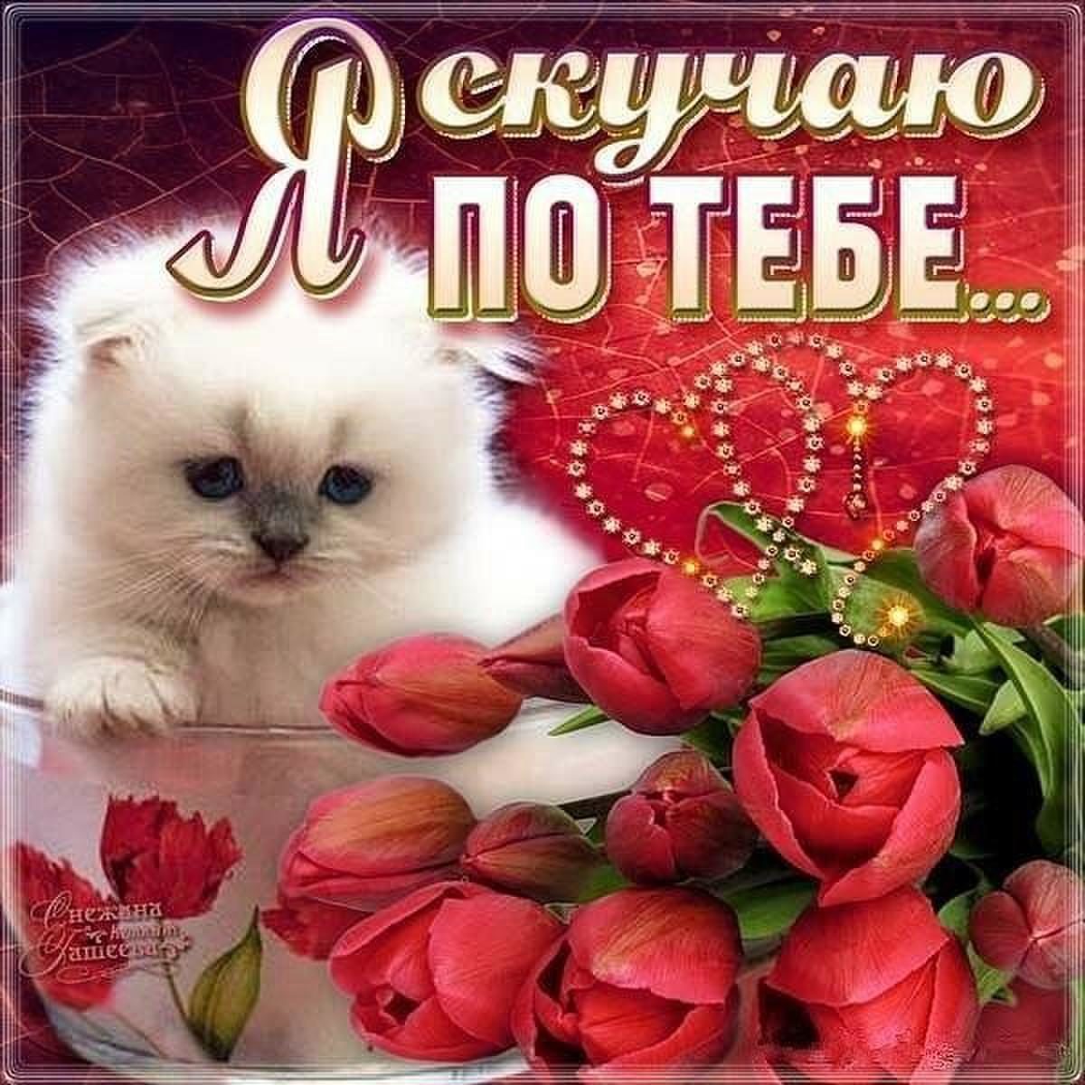 Картинки скучаю милая моя, прикольные