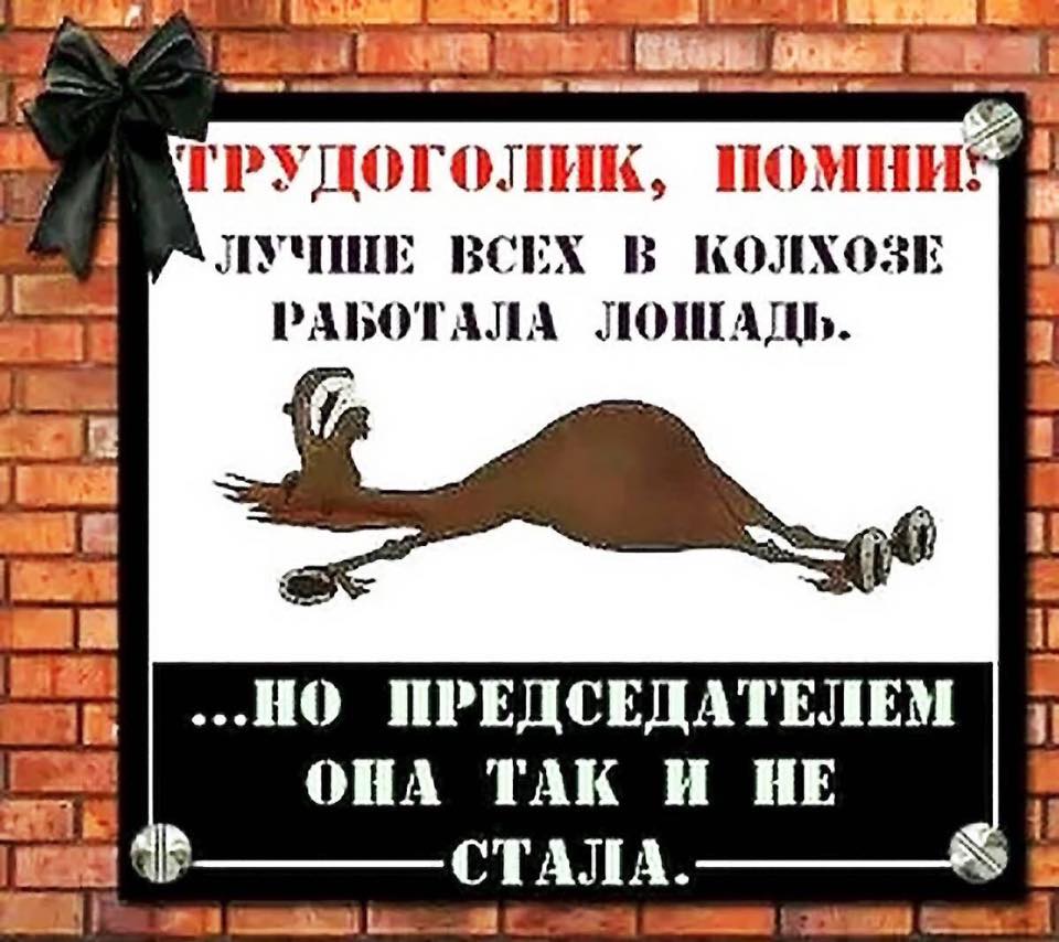 Мультяшный, картинки о трудоголиках прикольные