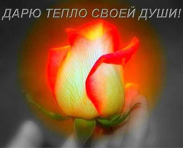 Природных материалов, открытки дарю тебе тепло