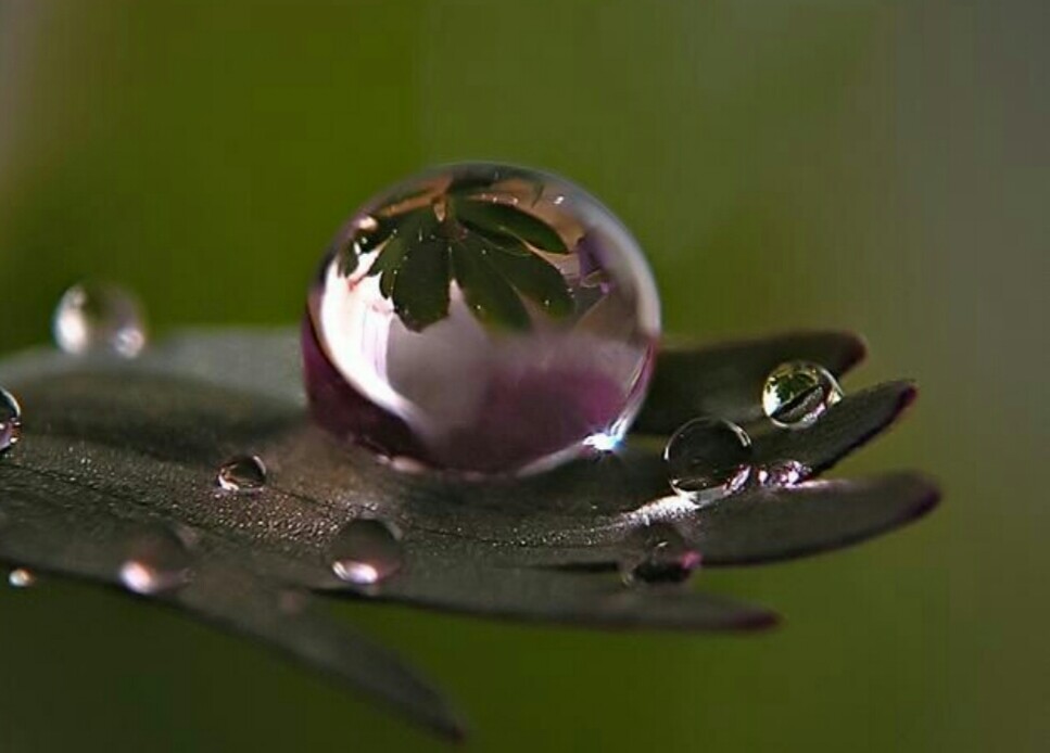 �������� �������� �������� ������� ��� �������� ����